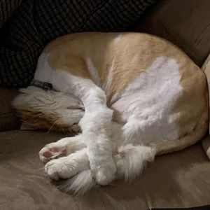 Meet your Posher, Natasha